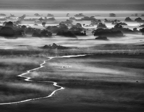 Galería de fotografía de Sebastião Salgado - Brasil