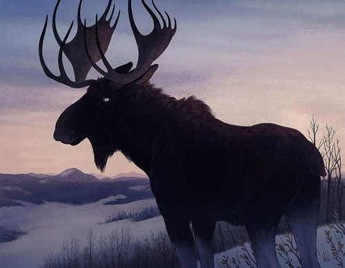 illustration jenna barton 11 805x