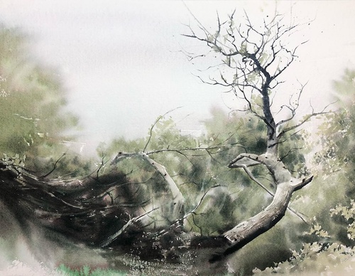 Galería de acuarelas de Prasad Beaven-England