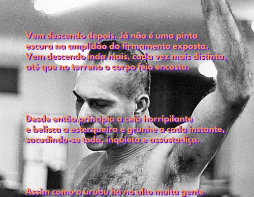rodrigo castello