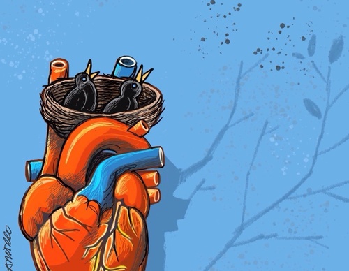 Galería de caricaturas de Marcelo Chamorro – Ecuador