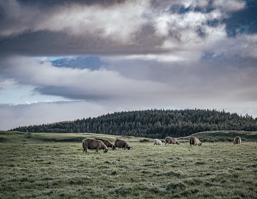 Gallery Of Photography By Guillermo Bernaldo - Argentina