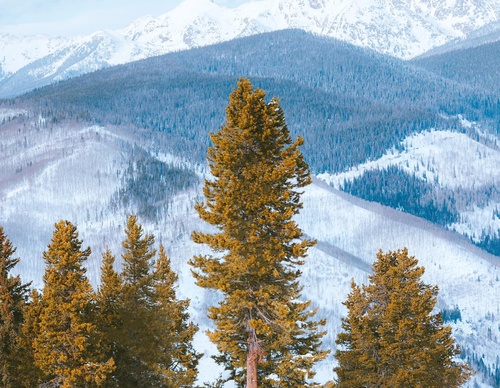 Galeria de fotografias de Nathaniel Wise - EUA
