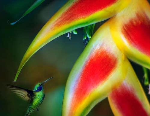 Galería De Fotografía De Ignacio Palacios - Bolivia