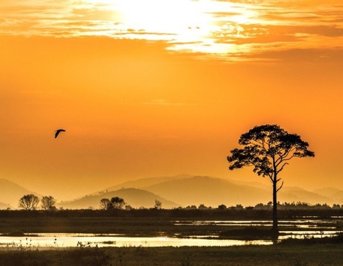 Gallery Of Photography By Réhahn - France