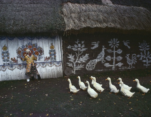 bruno barbey