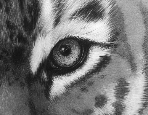Gallery Of Realistic Painting By Emma Towers Evans - Brazil