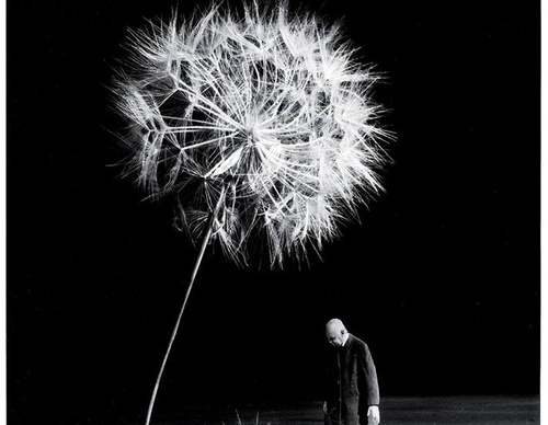 Gallery Of Photography By Gilbert Garcin - France