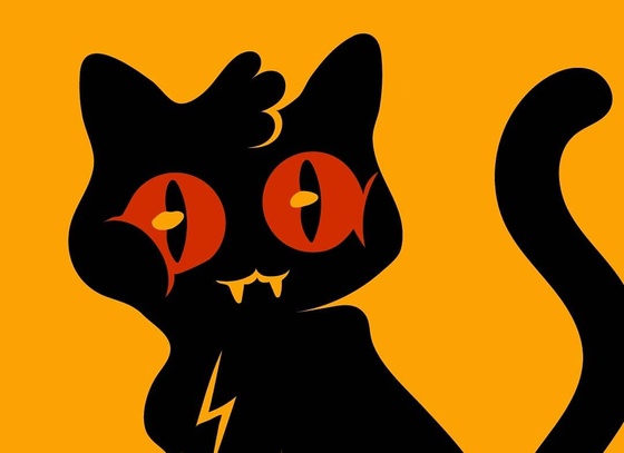 cristobal ojeda newfren