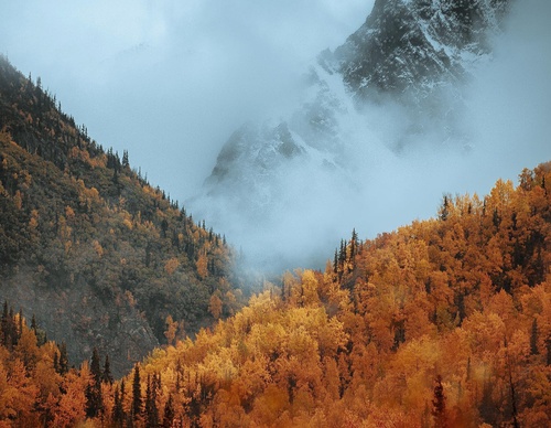 Gallery Of Photography By Chris Henry - USA