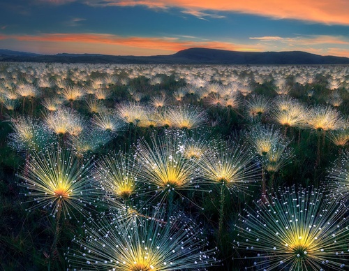 Galería de fotografía de Marcio Cabral - Brasil