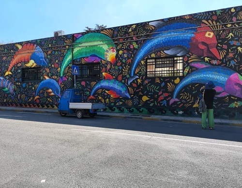 Galería de arte callejero de Spaik - México