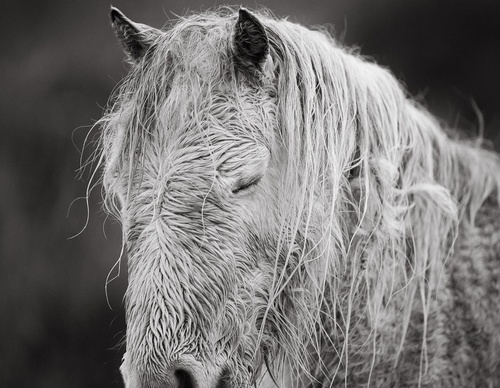 Galeria de Fotografia de Gareth Llewellyn - País de Gales