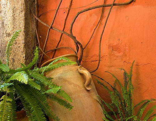 mexican architecture jim zuckerman