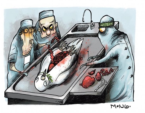 The Peace of Gaza  A peace forced between terror and death. Two years after the criminal Hamas terrorist attack, the genocide continues to claim innoc