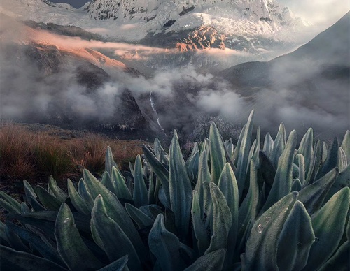 Gallery Of Photography By Max Rive - Netherlands