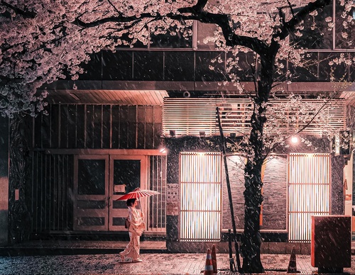 Gallery Of Photography By Junya Watanabe - Japan