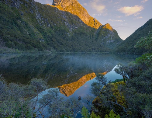 Galeria de fotografias de William Patino - Nova Zelândia