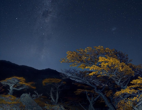Galería de fotografía de Greg Boratyn - Argentina