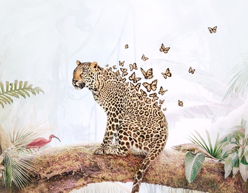 Galería De Ilustración De Luisa Azevedo - Portugal