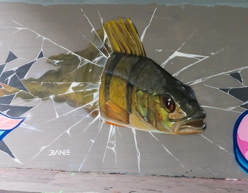 Gallery Of Street Art By Fabian Bane Florin - Switzerland
