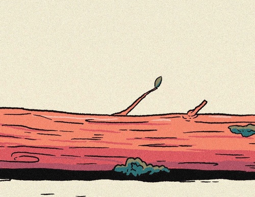 Galeria de ilustrações de Pequeño Capitan - México