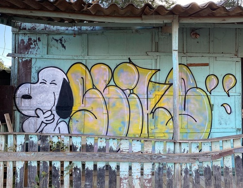 Gallery Of Street Art By Rafael Sliks - Brazil