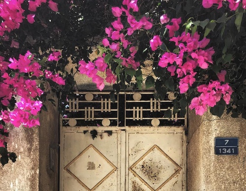 Galería de fotografía de puerta en Palestina