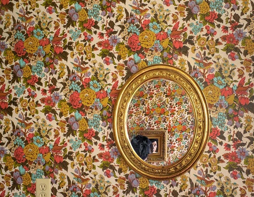 jo ann chaus