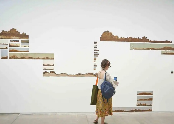 Artistas de Minas Gerais con obras de la Bienal