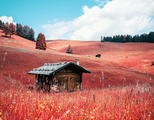 Gallery Of Photography By Paolo Pettigiani - Italy