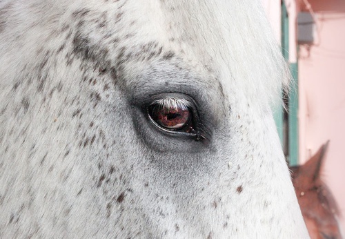Visiones Fotográficas de Ibrahim Deveci – Turquía