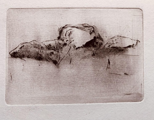 Galeria de Desenho de Andreas Vanpoucke-Bélgica