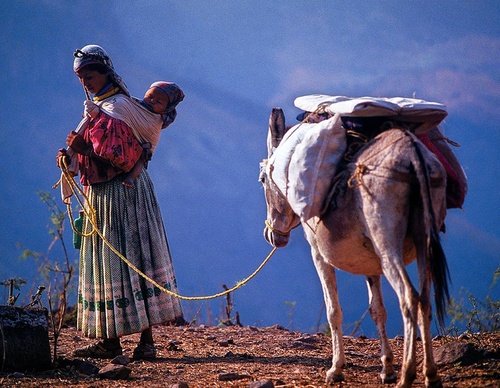 Gallery Of Photography By Sebastian Suki Belaustegui - Brazil