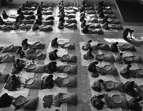 Galeria de Fotografia de Sebastião Salgado-Brasil