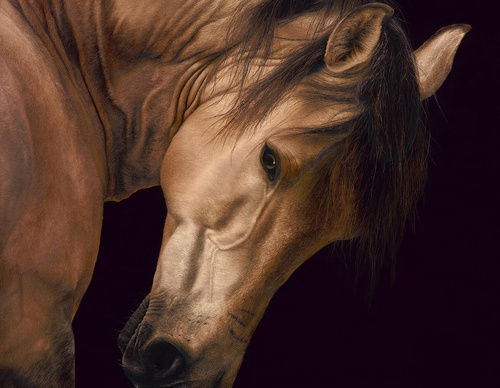 Galería de pintura realista de Annie Drew - Reino Unido