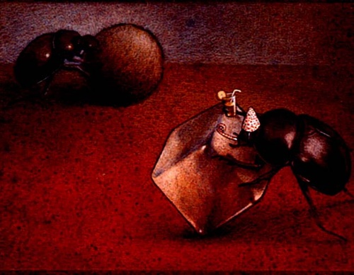 pawel kucznski poland