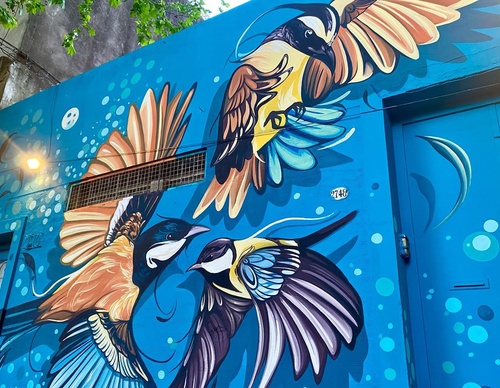 Gallery Of Street Art By Fio Silva - Argentina