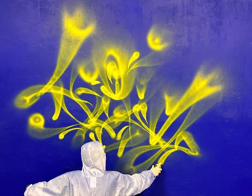 Gallery Of Street Art By Rafael Sliks - Brazil