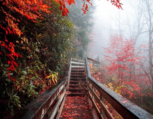 Gallery Of Photography By Ryan Resatka - USA