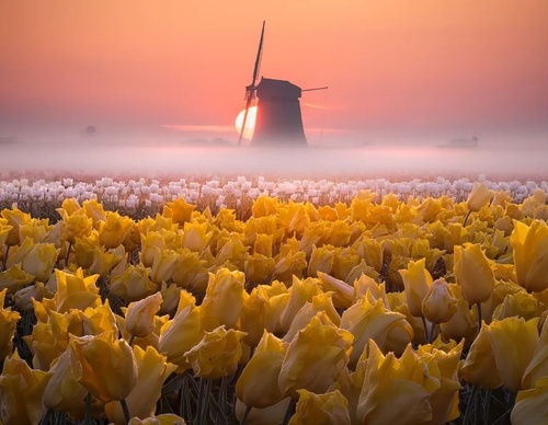 Galería de fotografía de Gijs de Reijke - Holanda