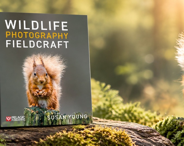 Wildlife Photography Fieldcraft