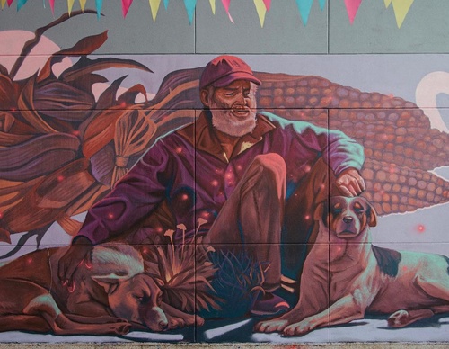 Gallery Of Street Art By Kiki - Brazil