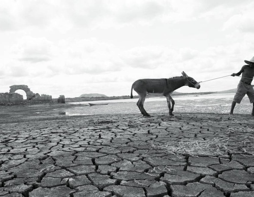 Galería de fotografía de Evandro Teixeira - Brasil