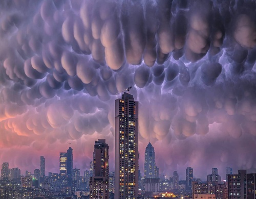 Galería de fotografías de Brent Shavnore - EE. UU.