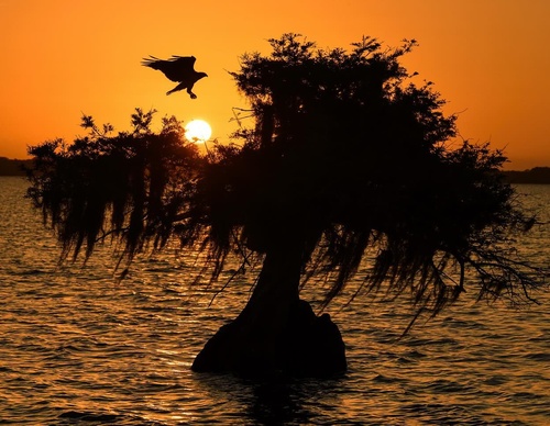 Gallery Of Photography By Keith Ladzinski - Brazil