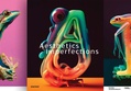 Aesthetics Imperfections | Slanted Publishers