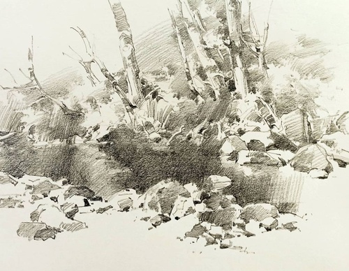 Gallery of Paintings by Shahin Arvin - Iran