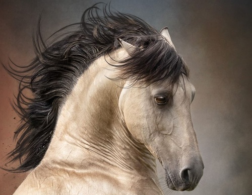Gallery of Photography by Aga Karmol from Poland