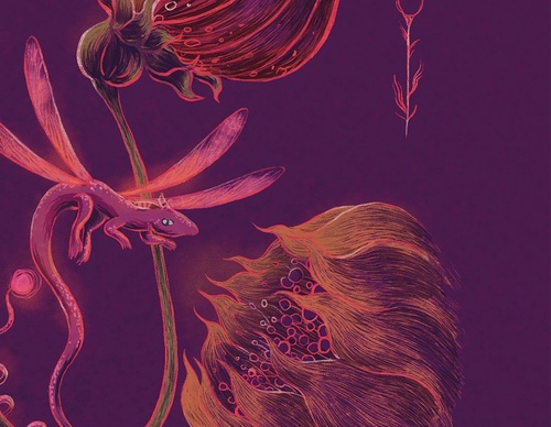 Galería de ilustraciones de Julián Solano - Colombia